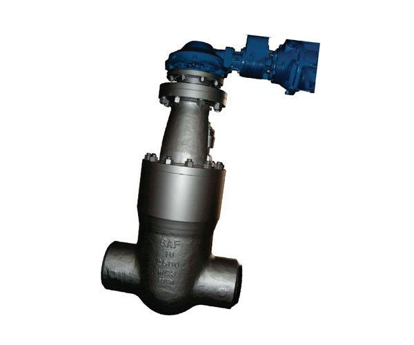 Globe valve